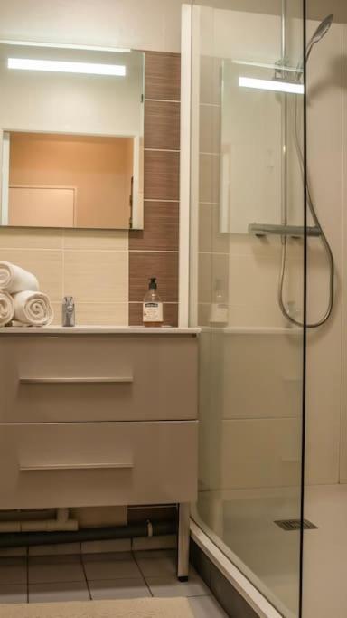 Logement Centre Ville De Reims - Commerces - Wifi エクステリア 写真